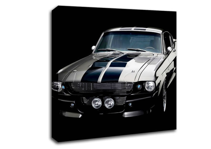 Mustang Stripes Canvas Wall Art