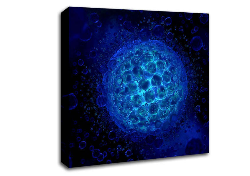 Ocean Planet Canvas Wall Art