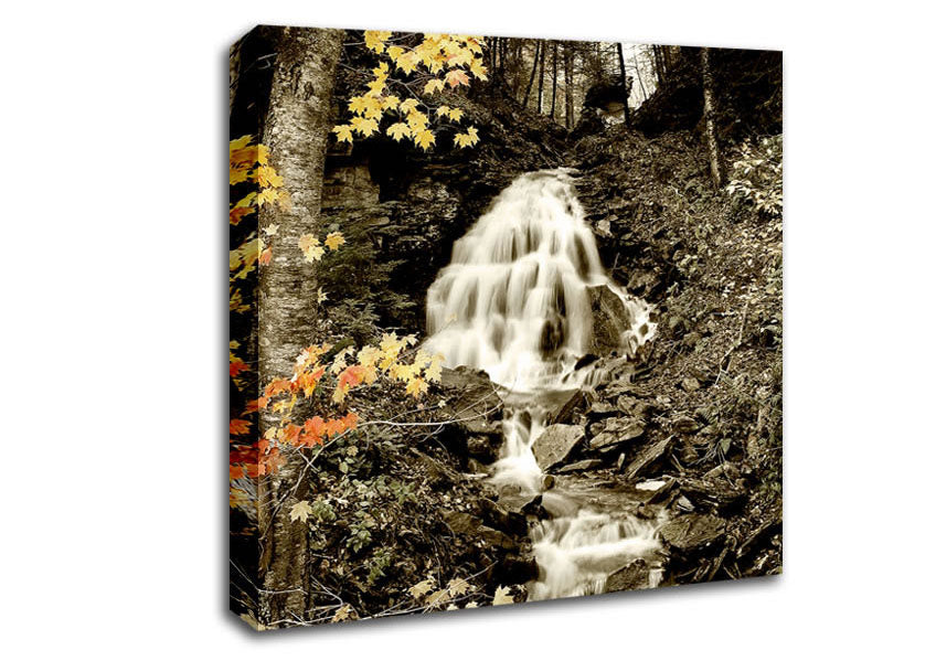 The Hidden Forest Stream Canvas Wall Art