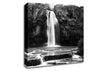 Hidden Woodland Waterfall Rocks B n W Canvas Wall Art
