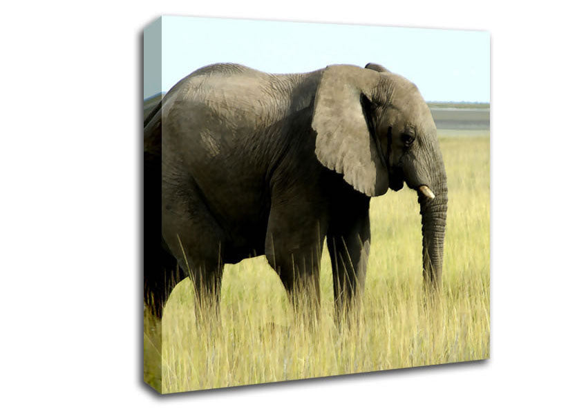 African Elephant Namibia Canvas Wall Art