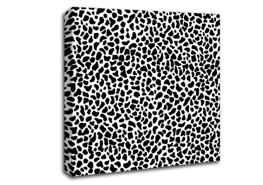 Animal Print Canvas Wall Art