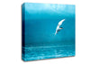 Arctic Tern Canvas Wall Art