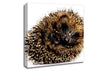 Baby Hedgehog Sleeping Canvas Wall Art
