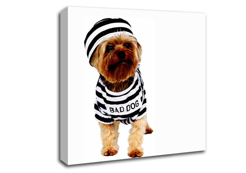 Bad Dog Canvas Wall Art