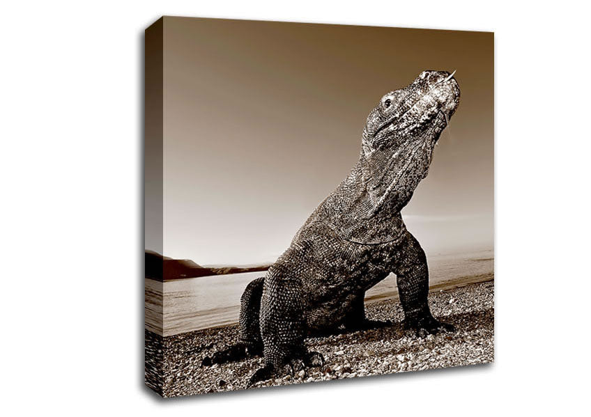 Beach Komodo Dragon Canvas Wall Art