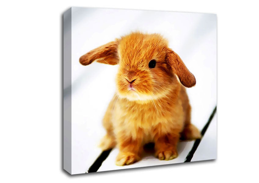 Bunny Rabbit Ears Canvas Wall Art