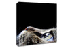 Cat Eyes Canvas Wall Art