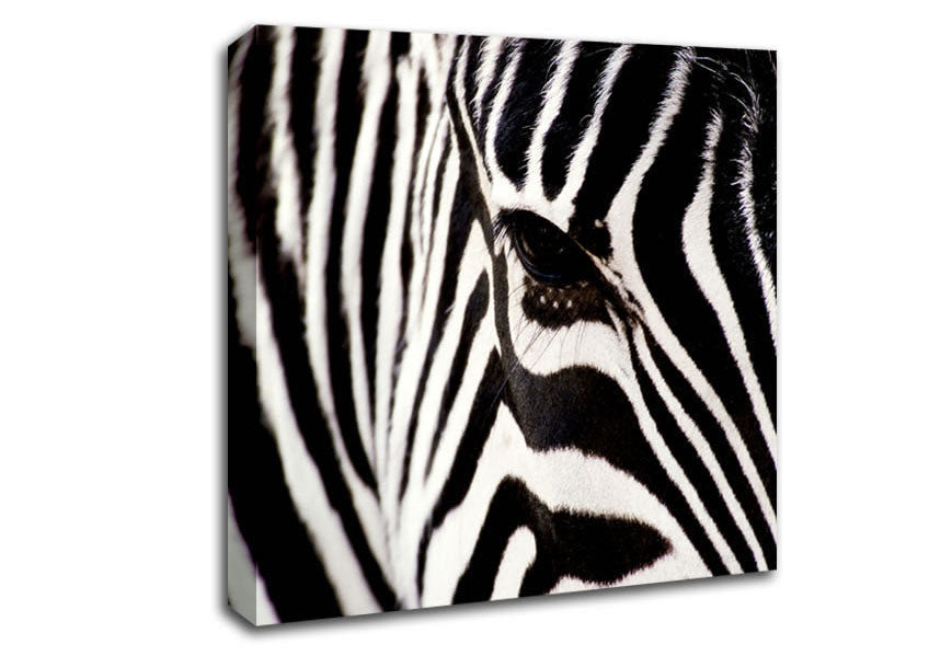 Close-up Face Zebra Canvas Wall Art