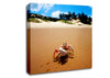 Crab Paradise Canvas Wall Art
