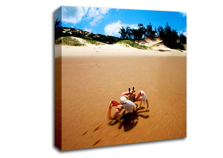 Crab Paradise Canvas Wall Art