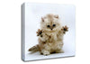 Cute Kitten Paws Canvas Wall Art