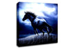 Dark Horse Canvas Wall Art