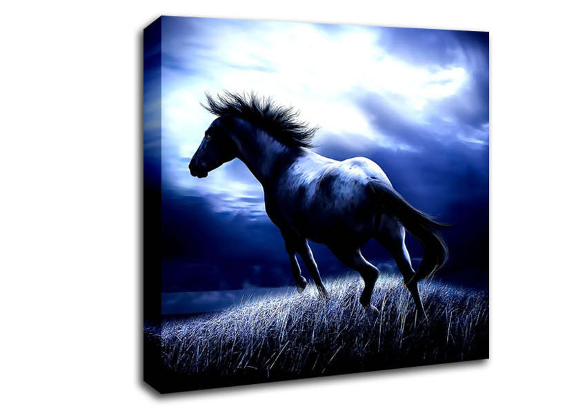 Dark Horse Canvas Wall Art