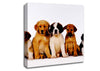 Dog Family Canvas Wall Art