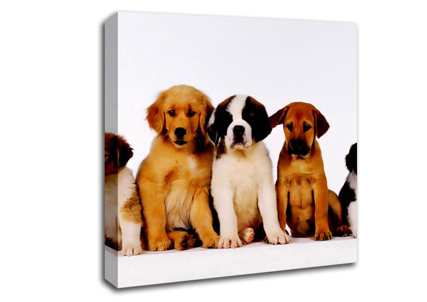 Dog Family Canvas Wall Art