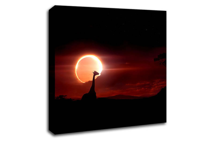 Eclipse Canvas Wall Art