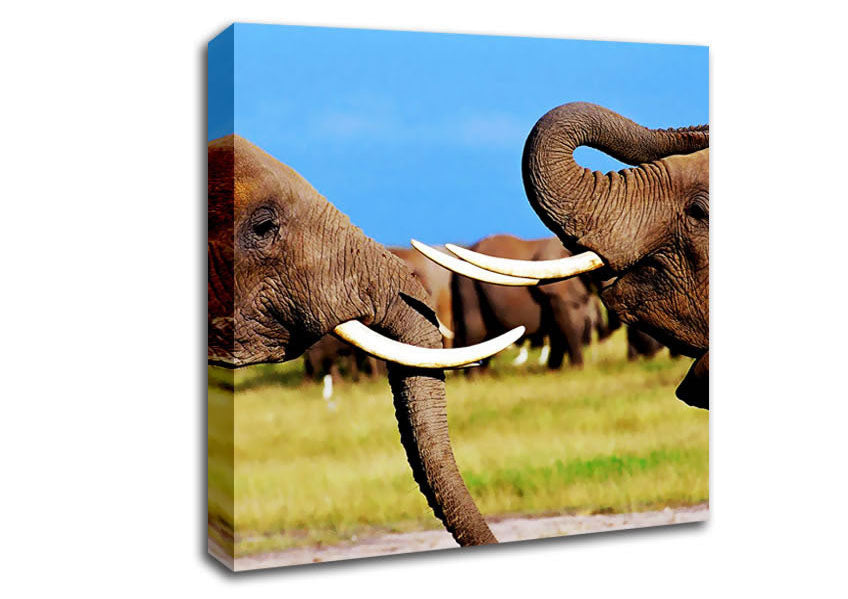 Elephant Chat Canvas Wall Art