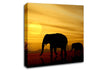 Elephant Safari Desert Canvas Wall Art