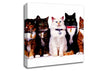 Family Of Cats Canvas Wall Art
