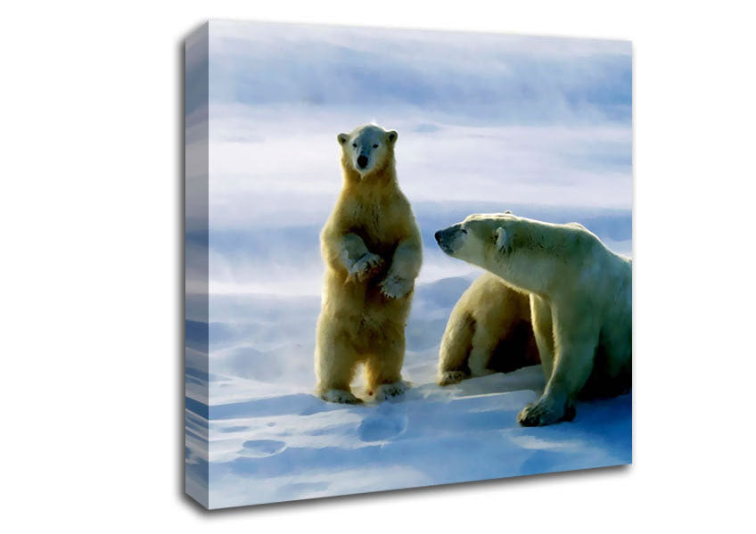 Family Of Polar Bears Canvas Wall Art