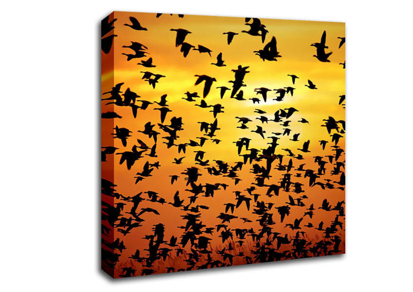 Flight Of The Golden Birds Canvas Wall Art