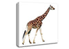 Giraffe Walk Canvas Wall Art