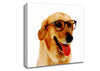 Golden Retriever Nerd Canvas Wall Art
