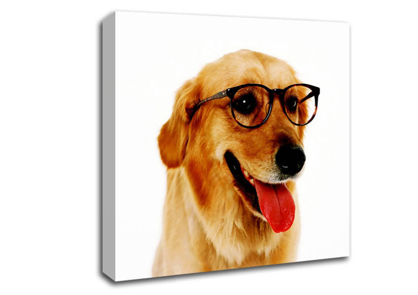 Golden Retriever Nerd Canvas Wall Art