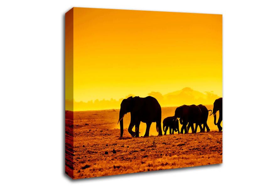 Hurd Of Elephants Canvas Wall Art