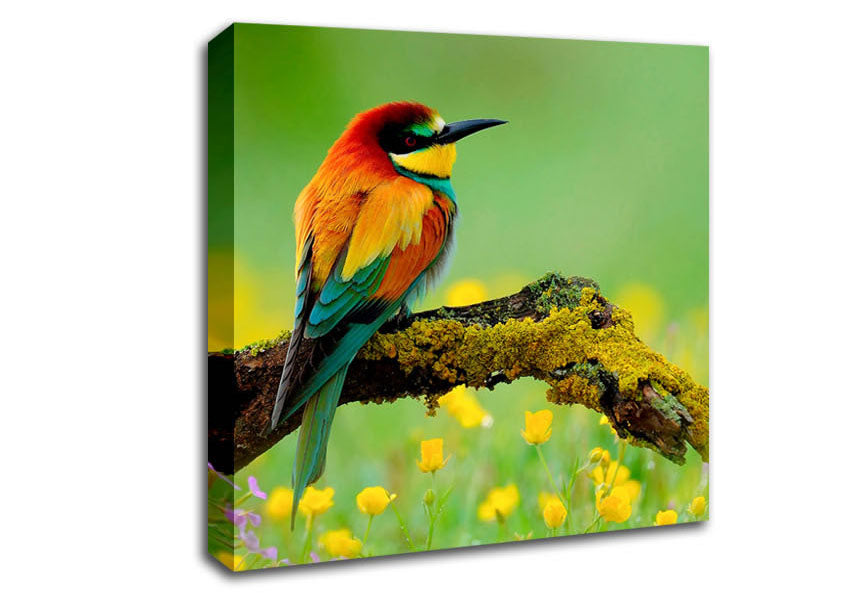 Kingfisher Wild Flowers Canvas Wall Art