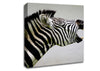 Laughing Zebra Canvas Wall Art