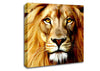 Lion Head Canvas Wall Art