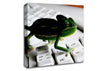 Lizard Keyboard Canvas Wall Art
