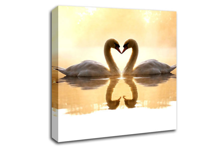 Loving Swans Canvas Wall Art