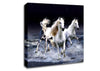 Mystic Horses Canvas Wall Art