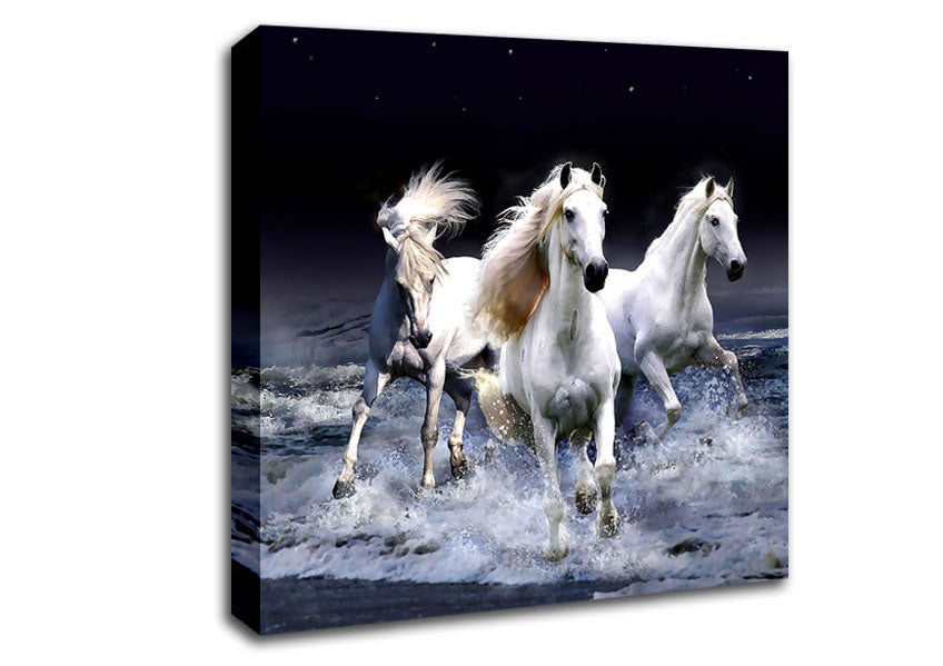 Mystic Horses Canvas Wall Art