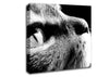 Nostalgic Cat Canvas Wall Art