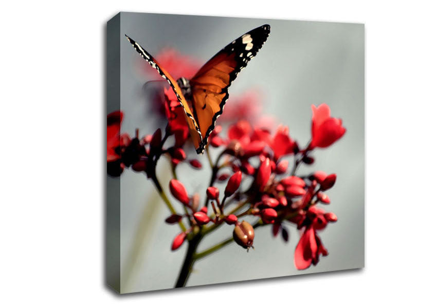 Orange Butterfly On Flower Canvas Wall Art