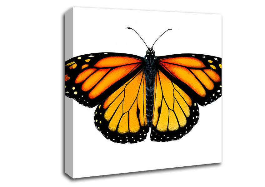 Orange Butterfly Wings Canvas Wall Art