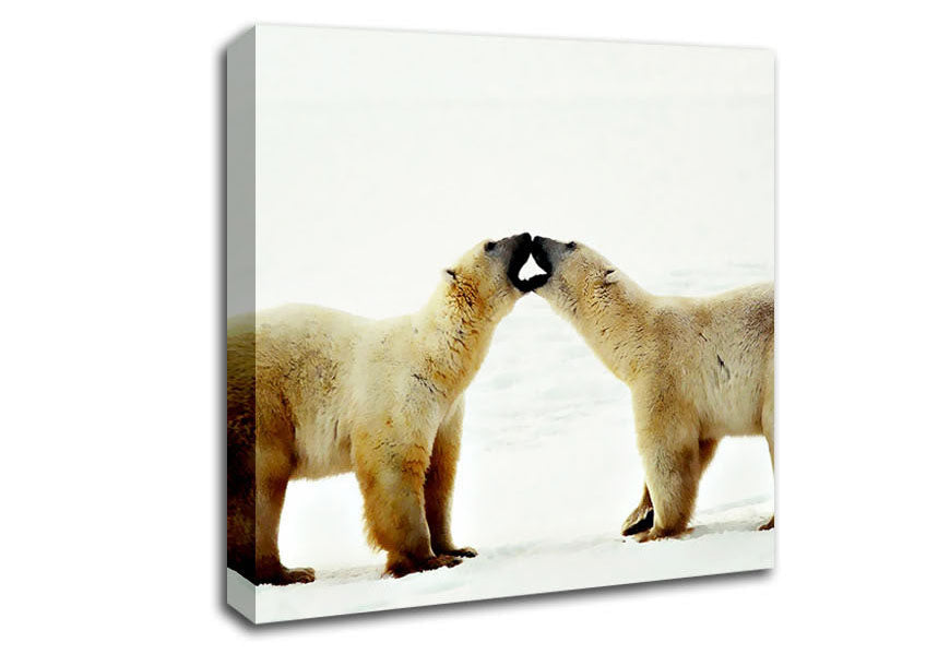 Polar Bear Love Canvas Wall Art
