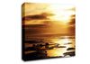 Polar Bear Treck Canvas Wall Art