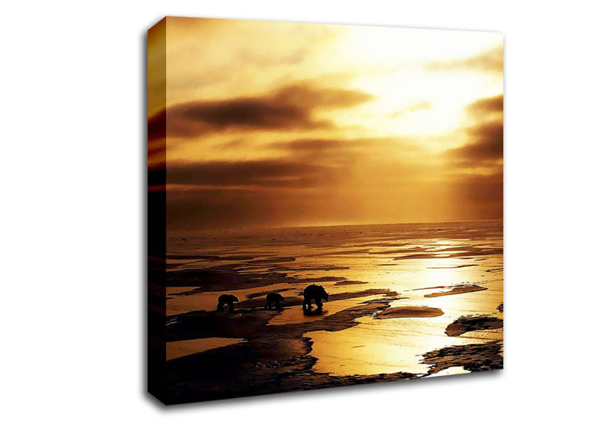 Polar Bear Treck Canvas Wall Art