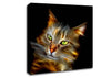 Purrfect Canvas Wall Art