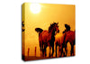 Running Horses At Sunset Canvas Wall Art