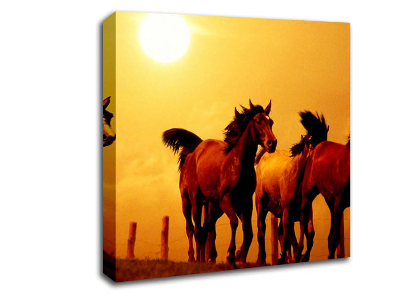 Running Horses At Sunset Canvas Wall Art