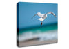 Seagull Over The Ocean Canvas Wall Art