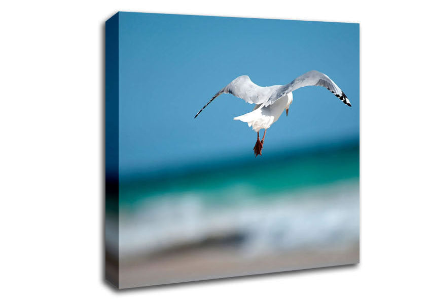 Seagull Over The Ocean Canvas Wall Art