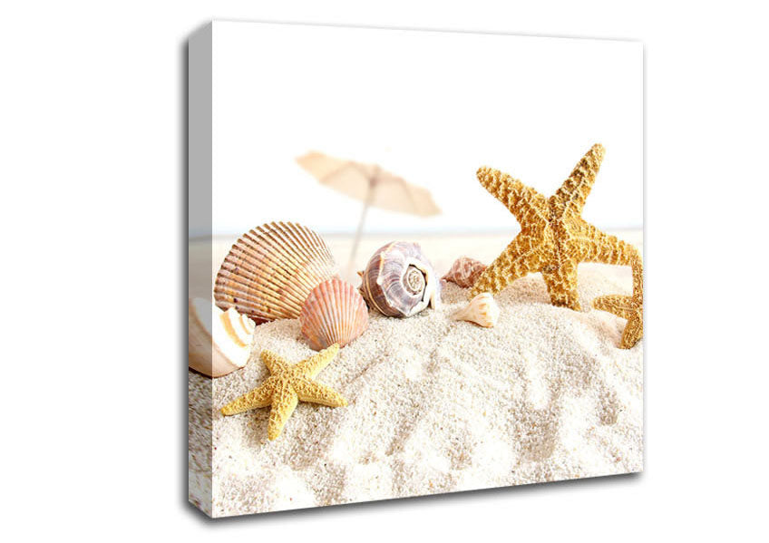 Seashells And Starfish On The Beach Canvas Wall Art