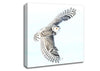 Snowy Owl Canvas Wall Art
